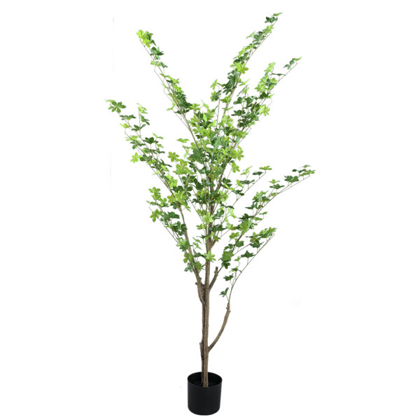 The Seasonal Aisle 96Cm Faux Japanese Enkianthus Tree in Pot Wayfair